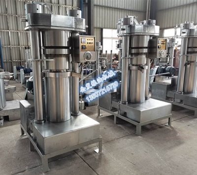 1772100002985053.jpg 1.jpg